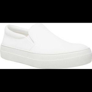 Steve Madden Gills Canvas Sneakers